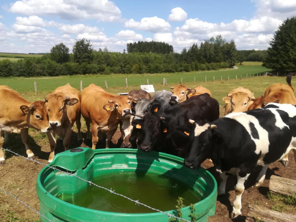 La Ferme Oubliee Villa Paliseul Kültér fotó