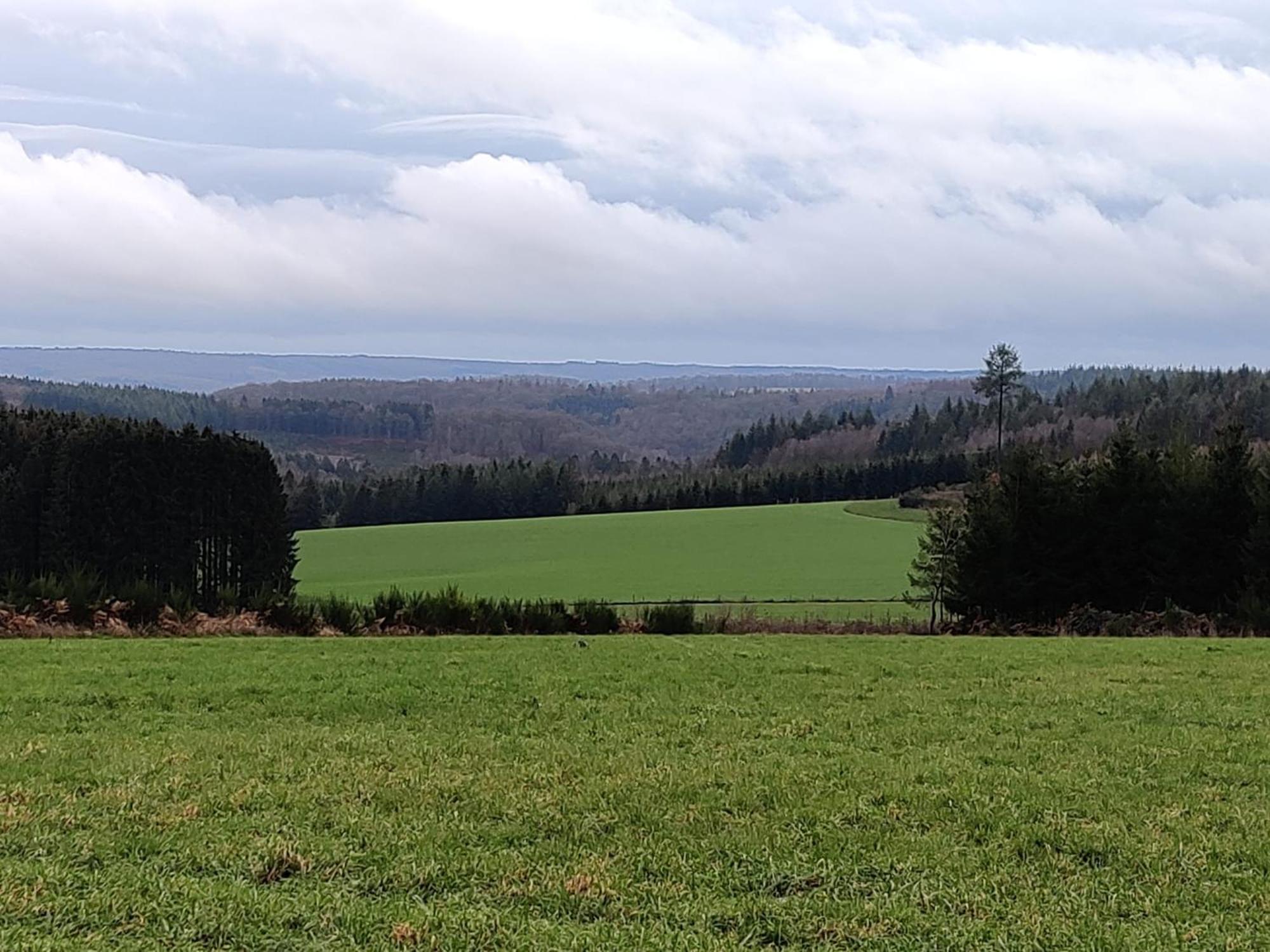 La Ferme Oubliee Villa Paliseul Kültér fotó
